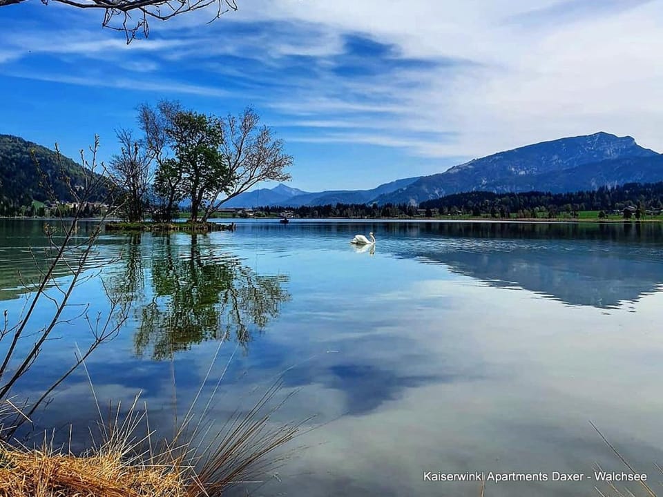 Day, Natural landscape, Lake view, Mountain view