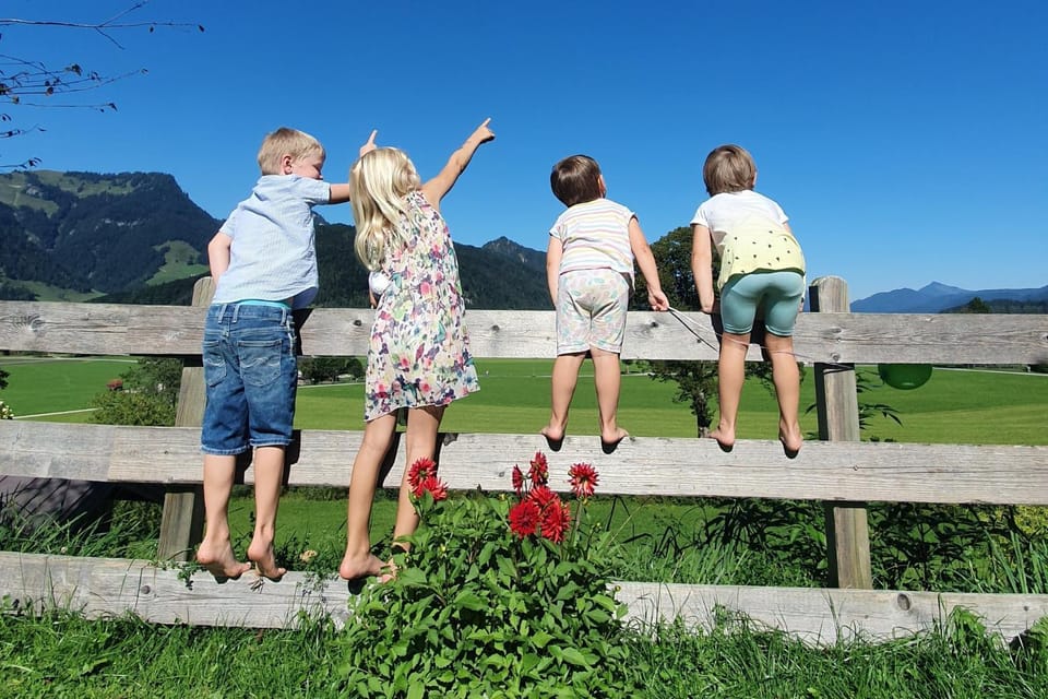 Kaiserwinkl Apartments Daxer Apartment in Walchsee