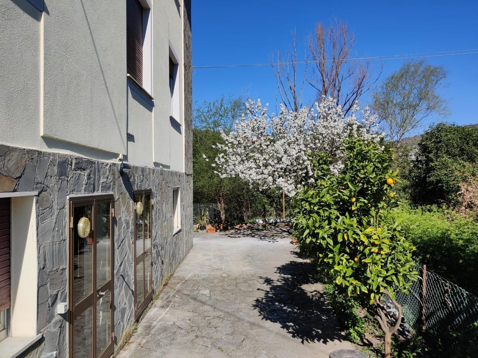 Property building, Spring, Garden view