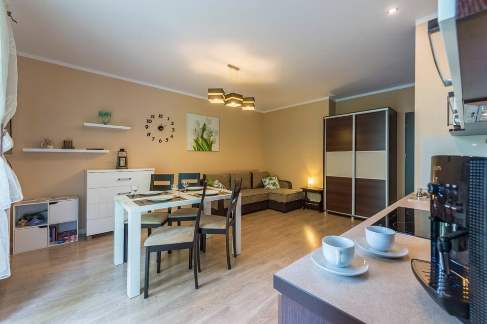 Apartament Brzozowy Zakątek - 5D Apartamenty Apartment in Lower Silesian Voivodeship