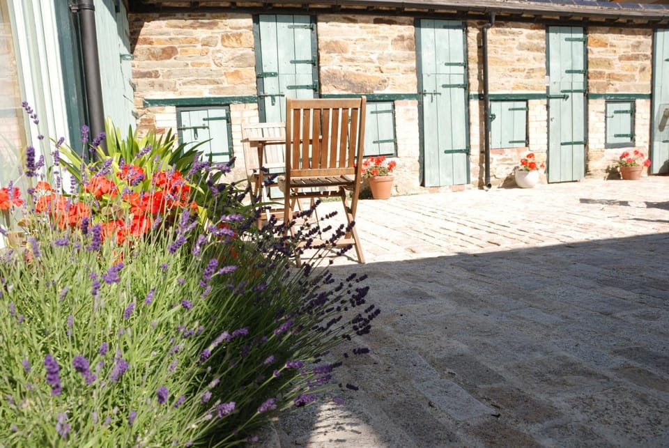Patio, Dining area