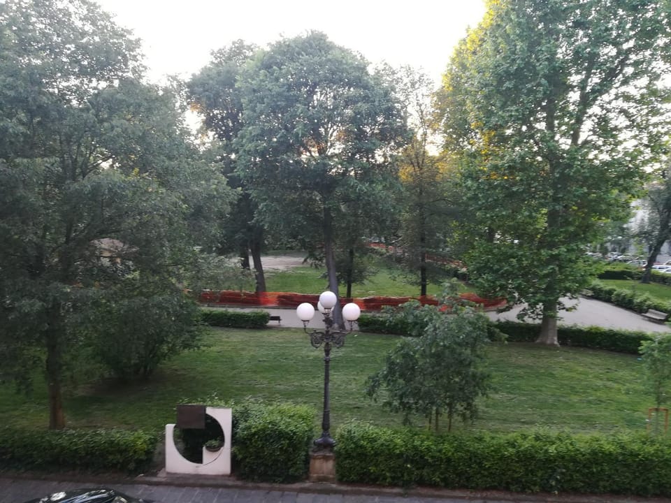 Garden view