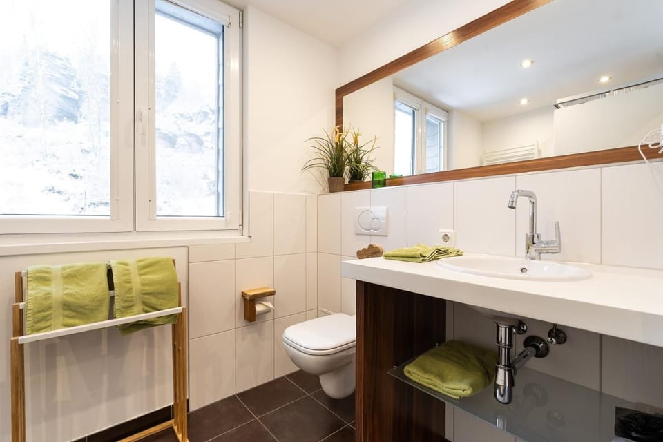 Eiland Apartment in Sächsische Schweiz-Osterzgebirge