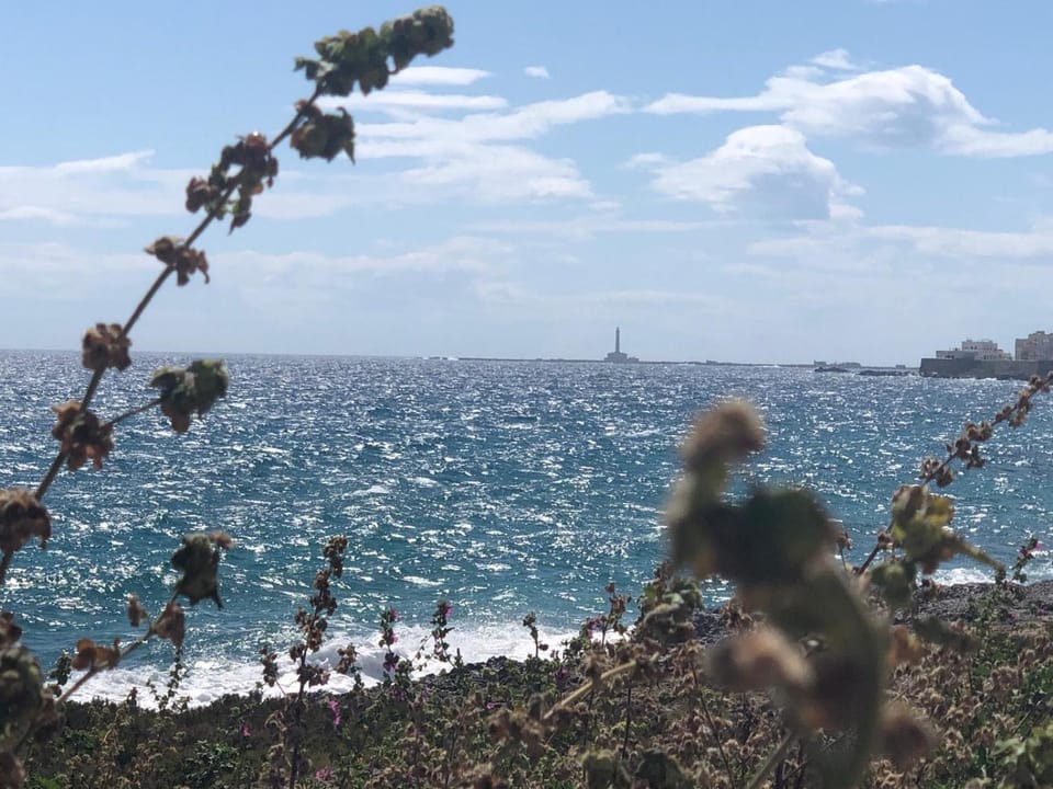 Natural landscape, Beach, Sea view
