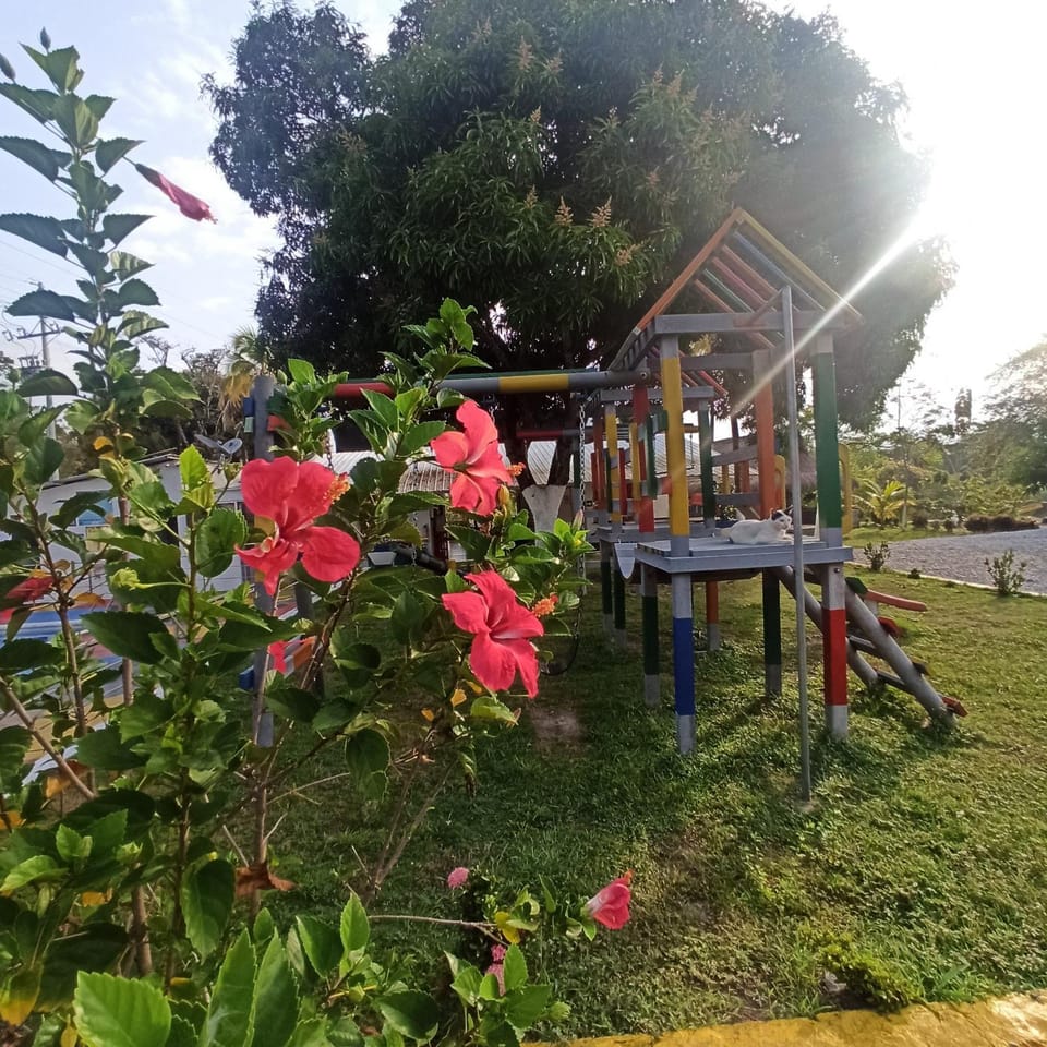 Children play ground, Garden
