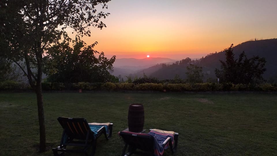 Garden, Sunset