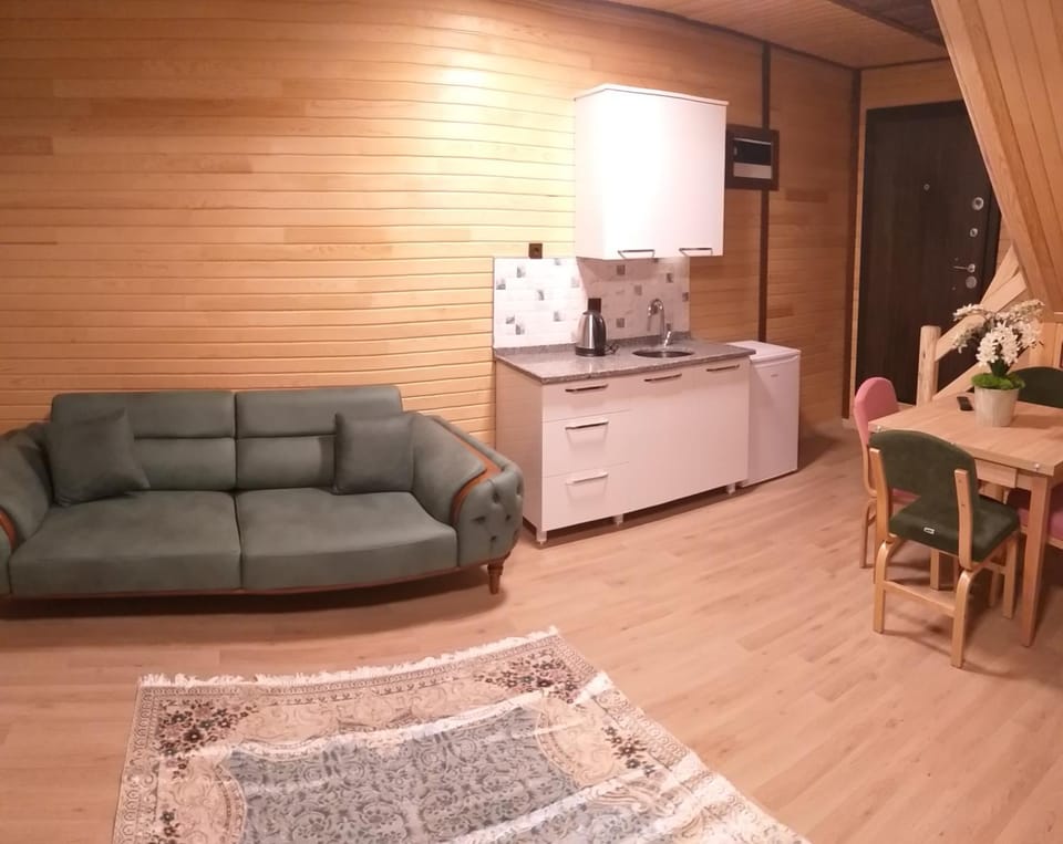 Kitchen or kitchenette, Living room, Seating area, Dining area, Communal kitchen