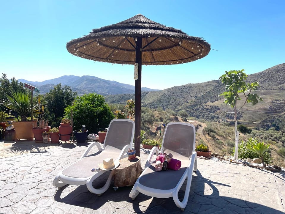 Mountain view, sunbed