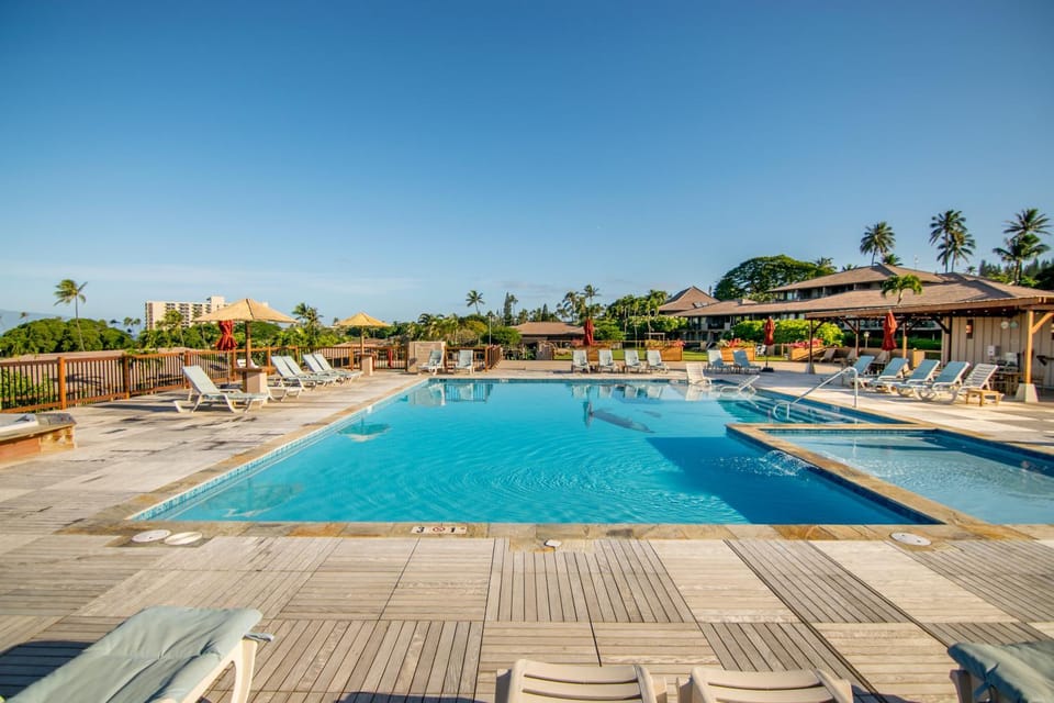 Swimming pool, sunbed