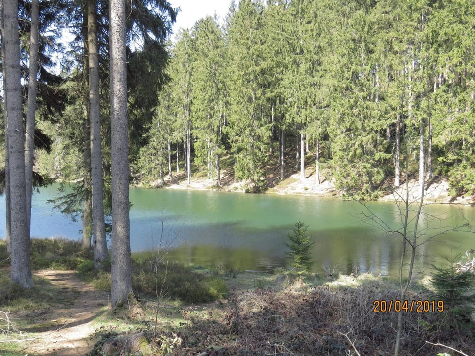 Fewo Am Wald 5 Apartment in Goslar