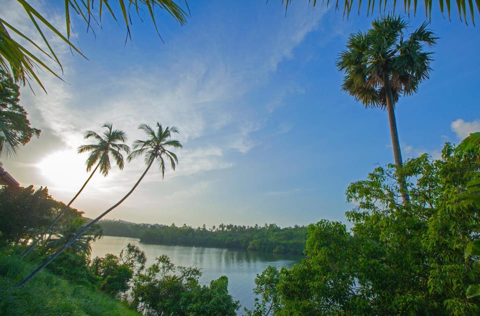 Lake view