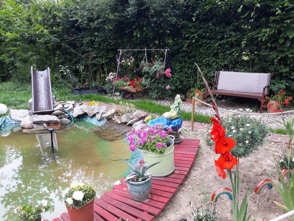 Natural landscape, Garden view