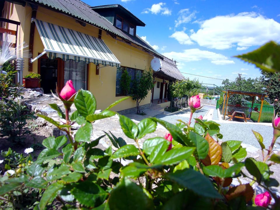 CASA ADI SI MARIA Bed and Breakfast in Romania