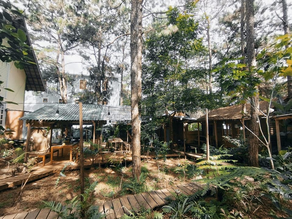 Communal kitchen