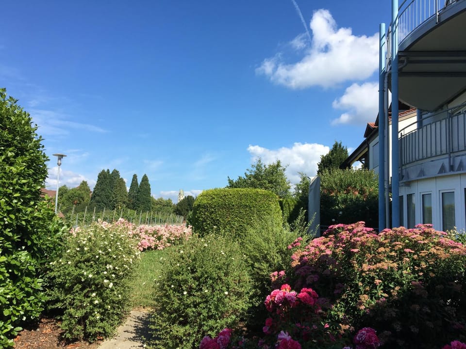 Atelierhaus Meersburg Apartment in Meersburg