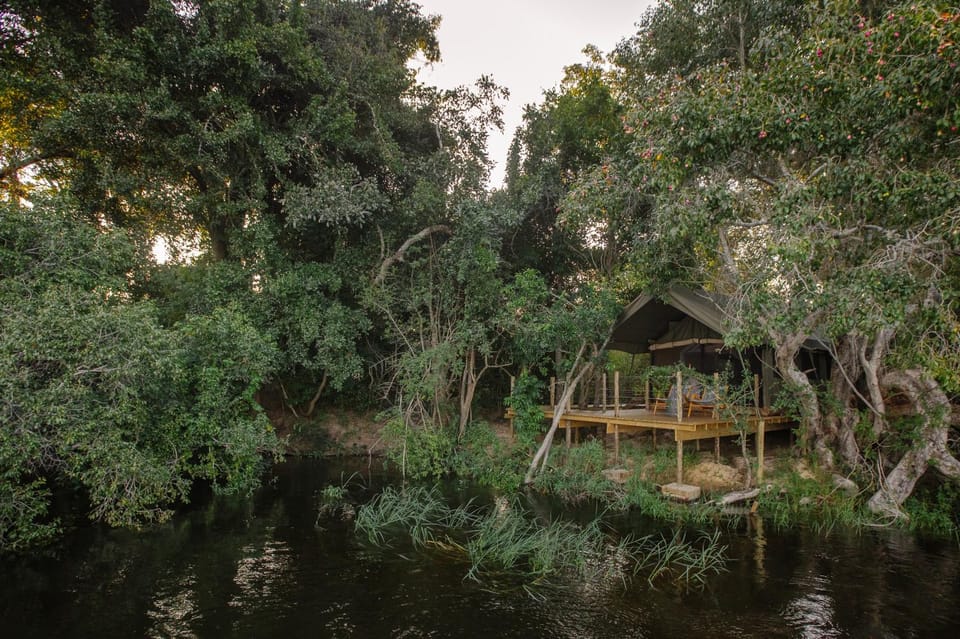 Natural landscape, River view