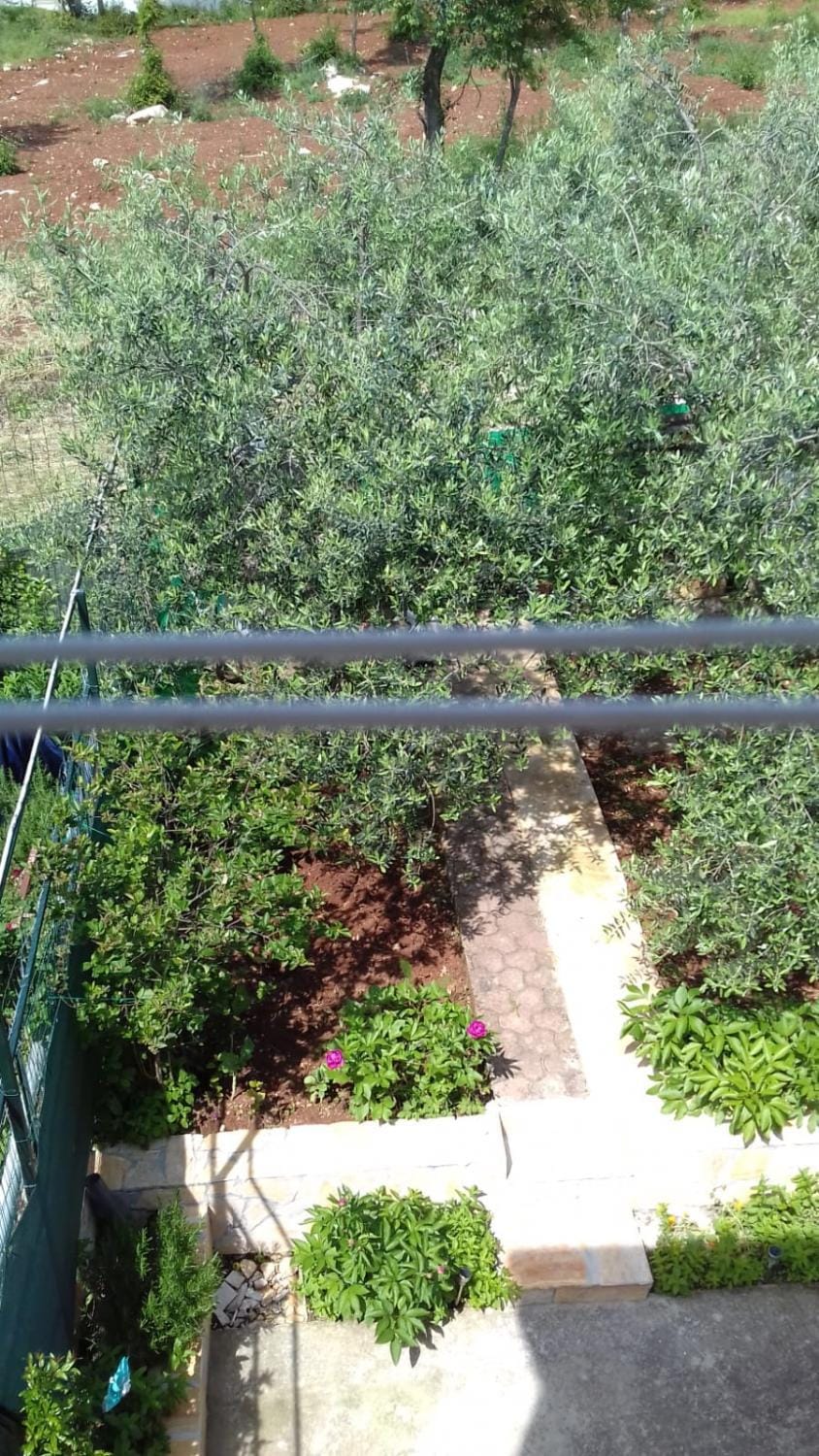 Garden, Garden view