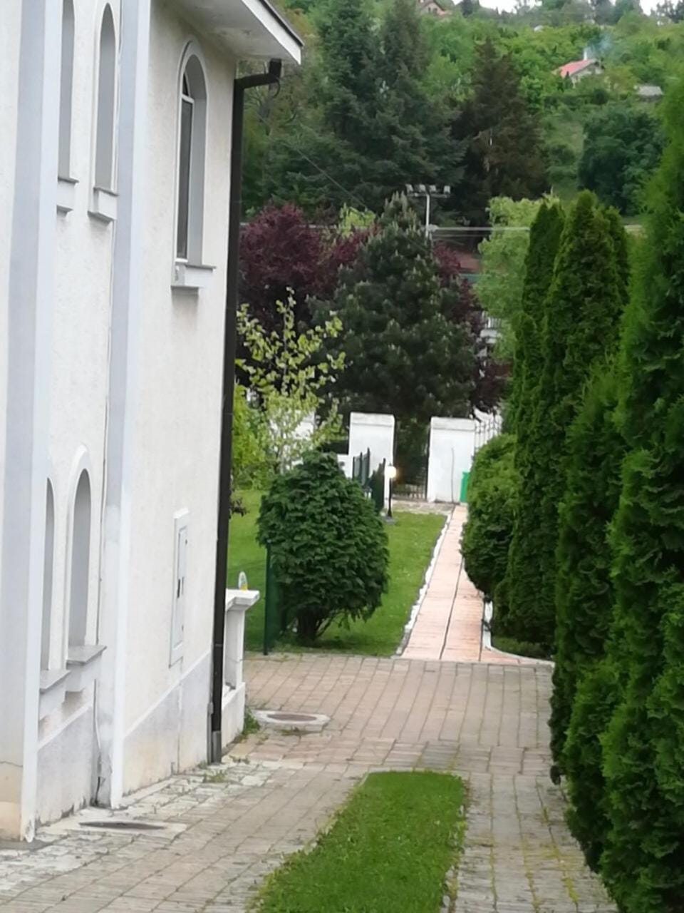 Vila Kraljica Vrdnik Bed and Breakfast in Vojvodina