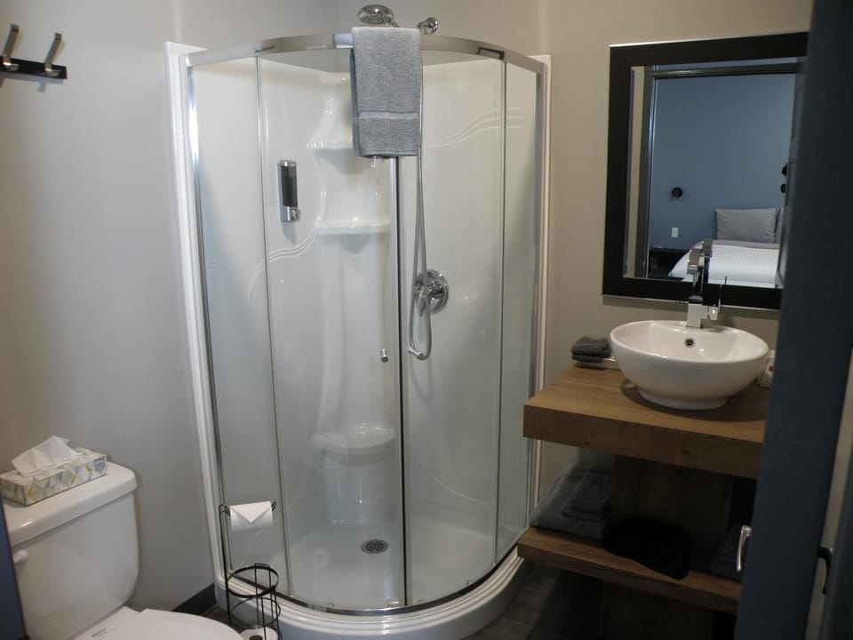 Shower, Toilet, Bathroom, hair dryier, towels