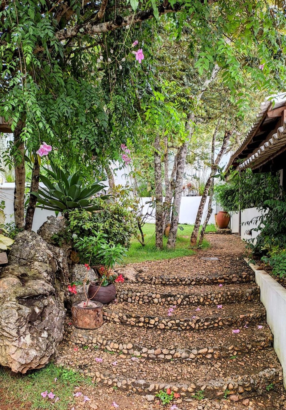Garden view