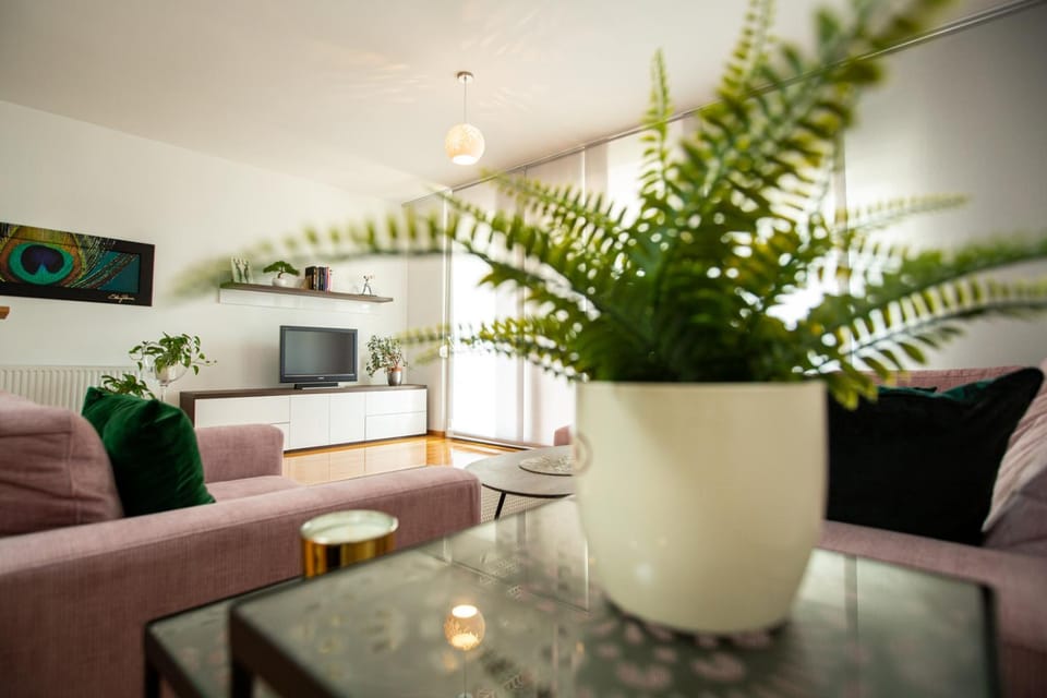 Communal lounge/ TV room, TV and multimedia, Living room, Seating area, Evening entertainment