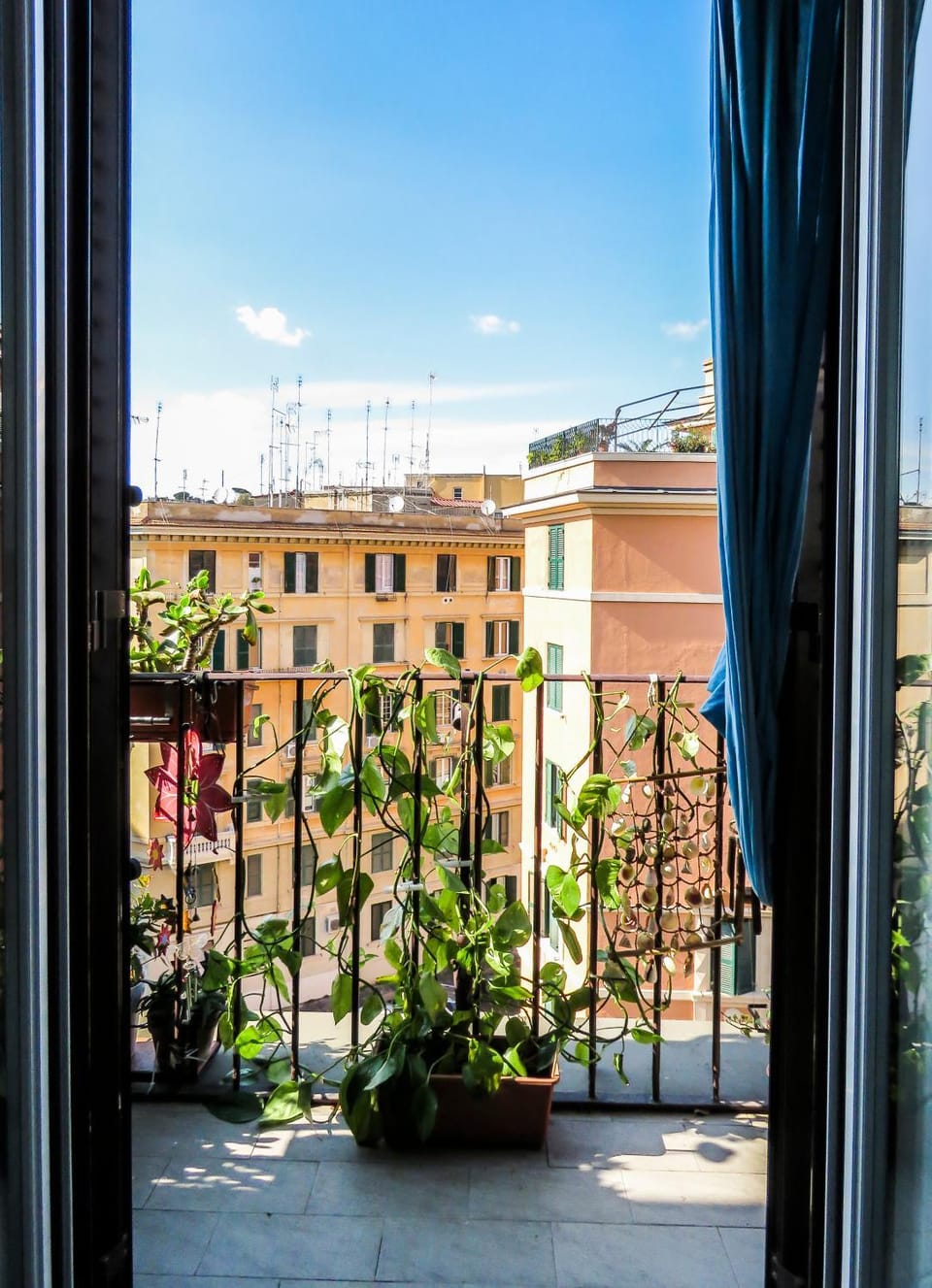 House Candia 111 - Vatican Museum apartment Apartment in Rome