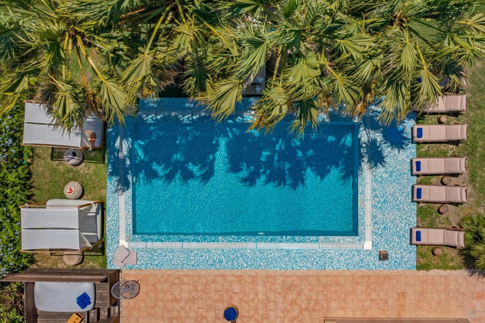 Day, Garden, Garden view, Pool view, Swimming pool, sunbed