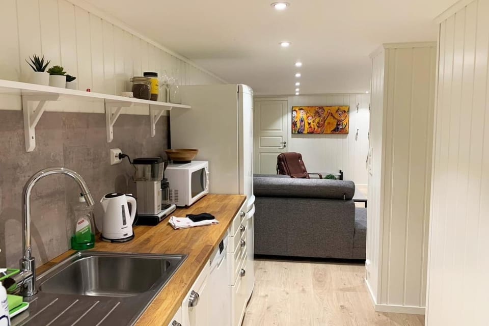 Newly renovated basement apartment Apartment in Viken, Norway