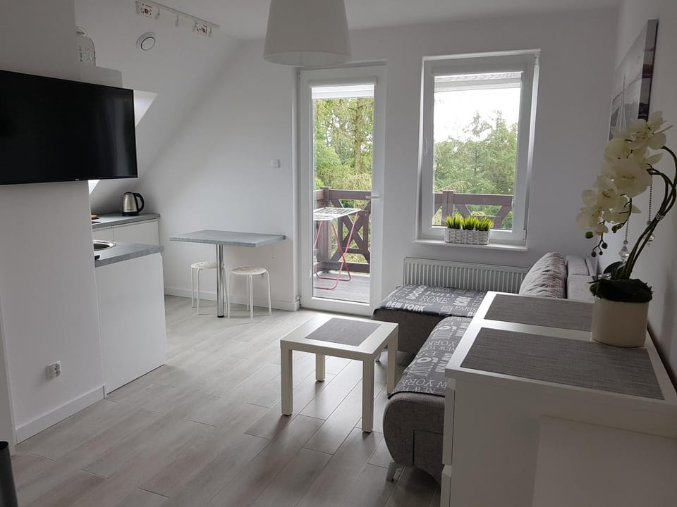 Sztutowo Apartament Jaś Apartment in Pomeranian Voivodeship