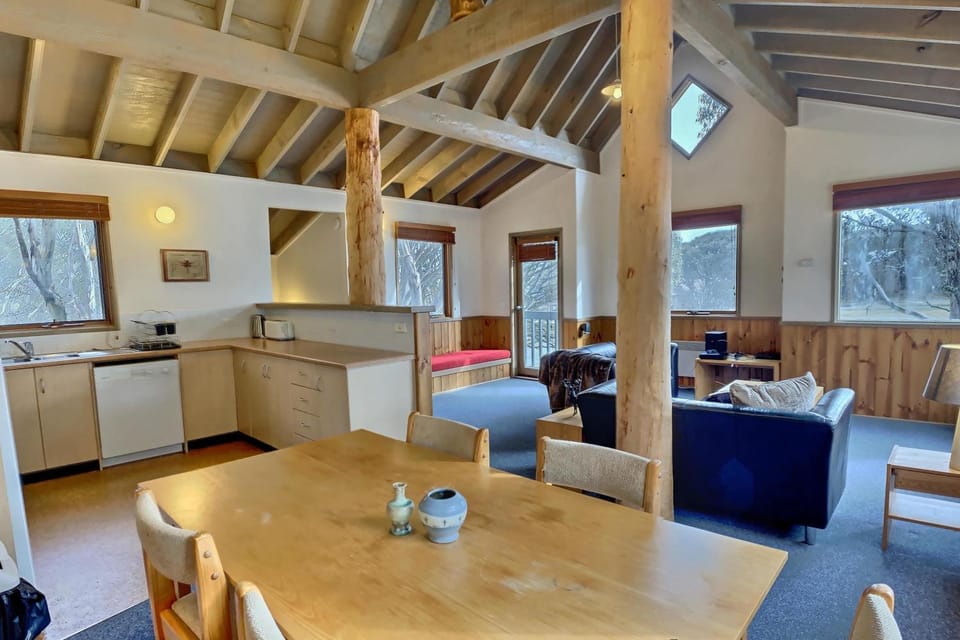 snowy river Apartment in Dinner Plain
