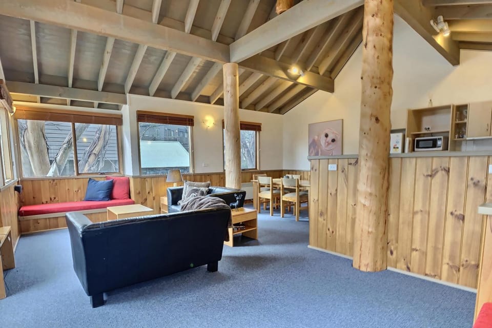 snowy river Apartment in Dinner Plain