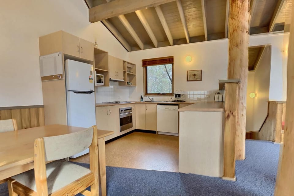 snowy river Apartment in Dinner Plain