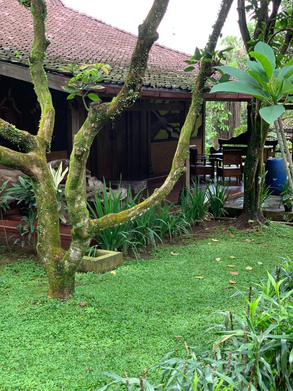 View (from property/room)