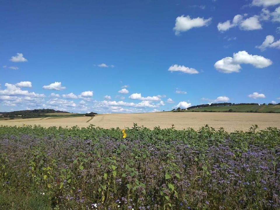 Natural landscape
