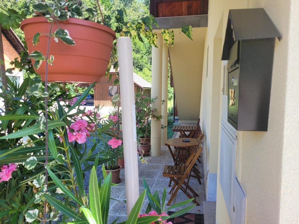 Property building, Patio, Garden