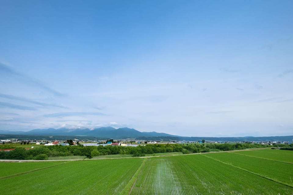 Natural landscape