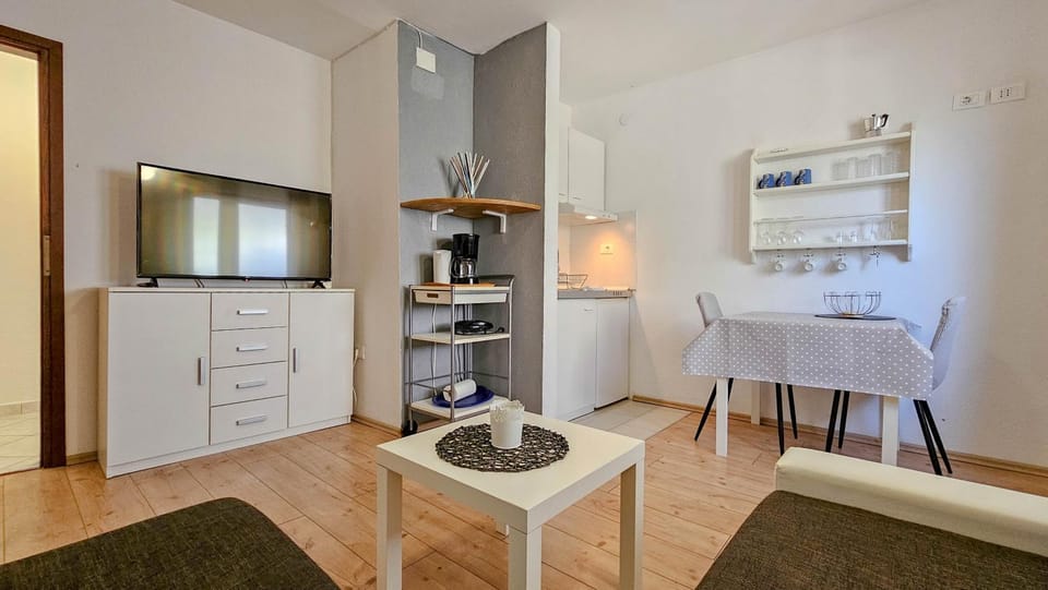 Milena One Apartment in Novigrad