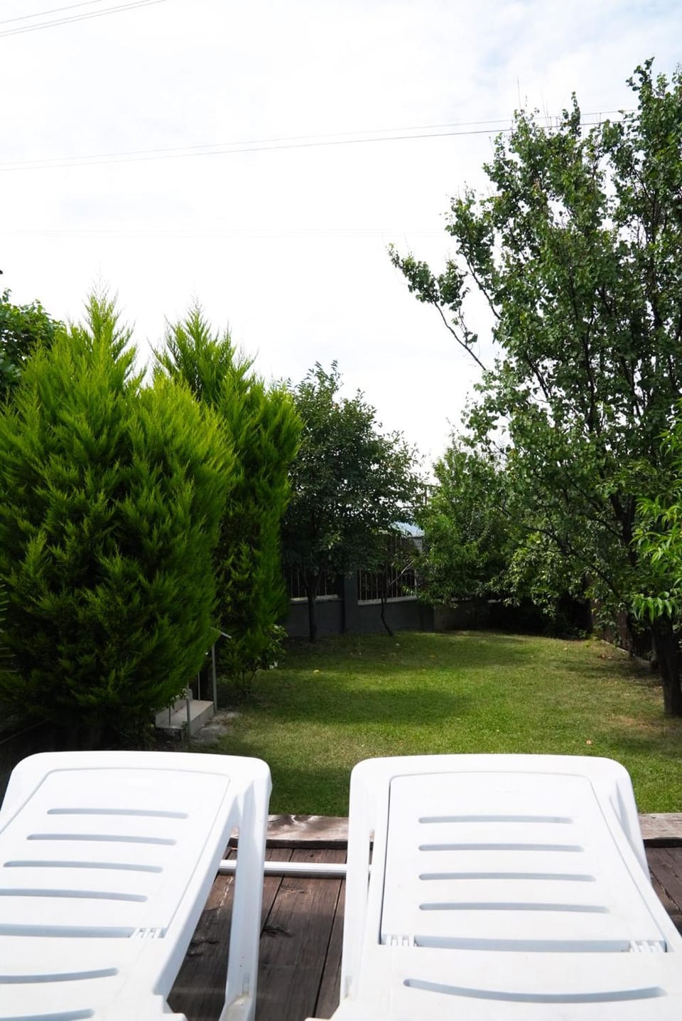 Natural landscape, Garden, Garden view, sunbed