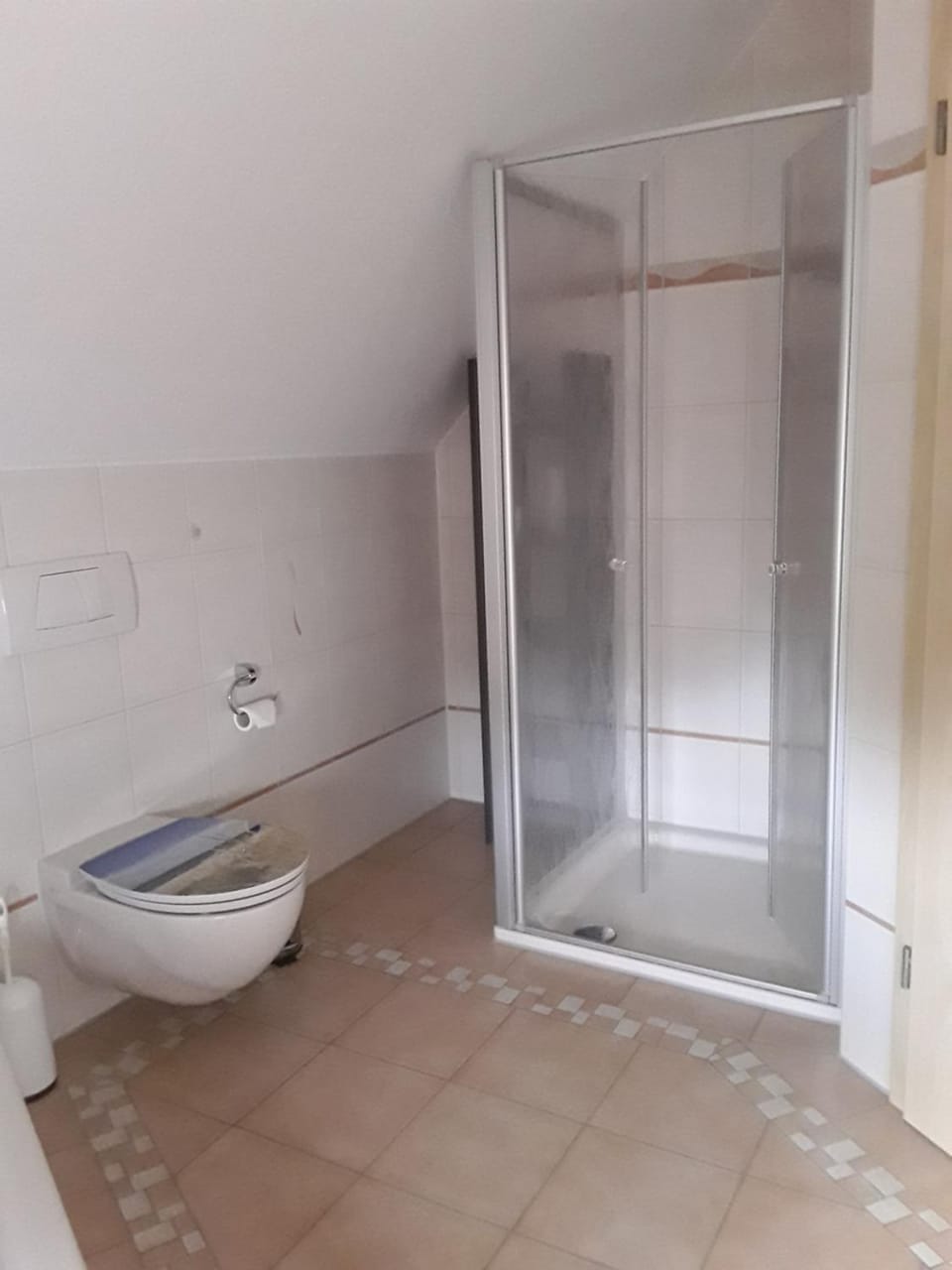 Shower, Toilet