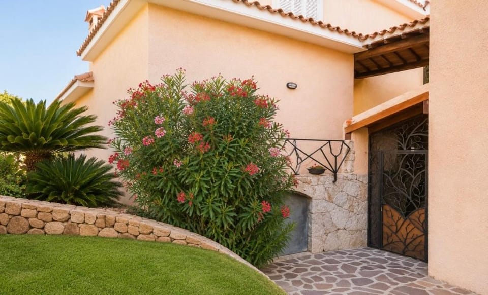 villa PICOZZI cannigione costa smeralda Villa in Sardinia