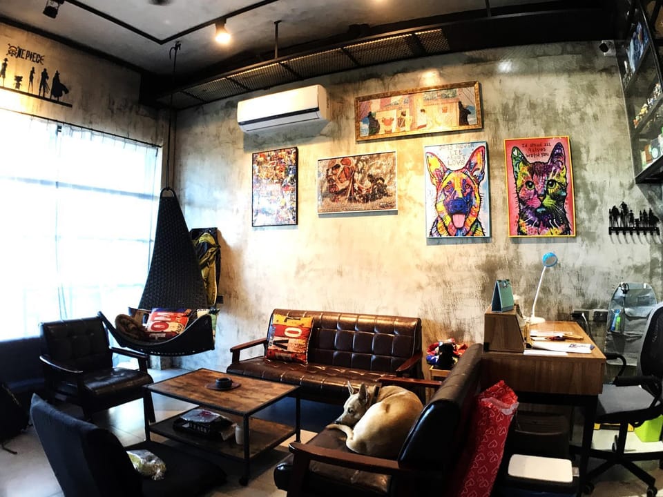 Communal lounge/ TV room, Living room, Decorative detail