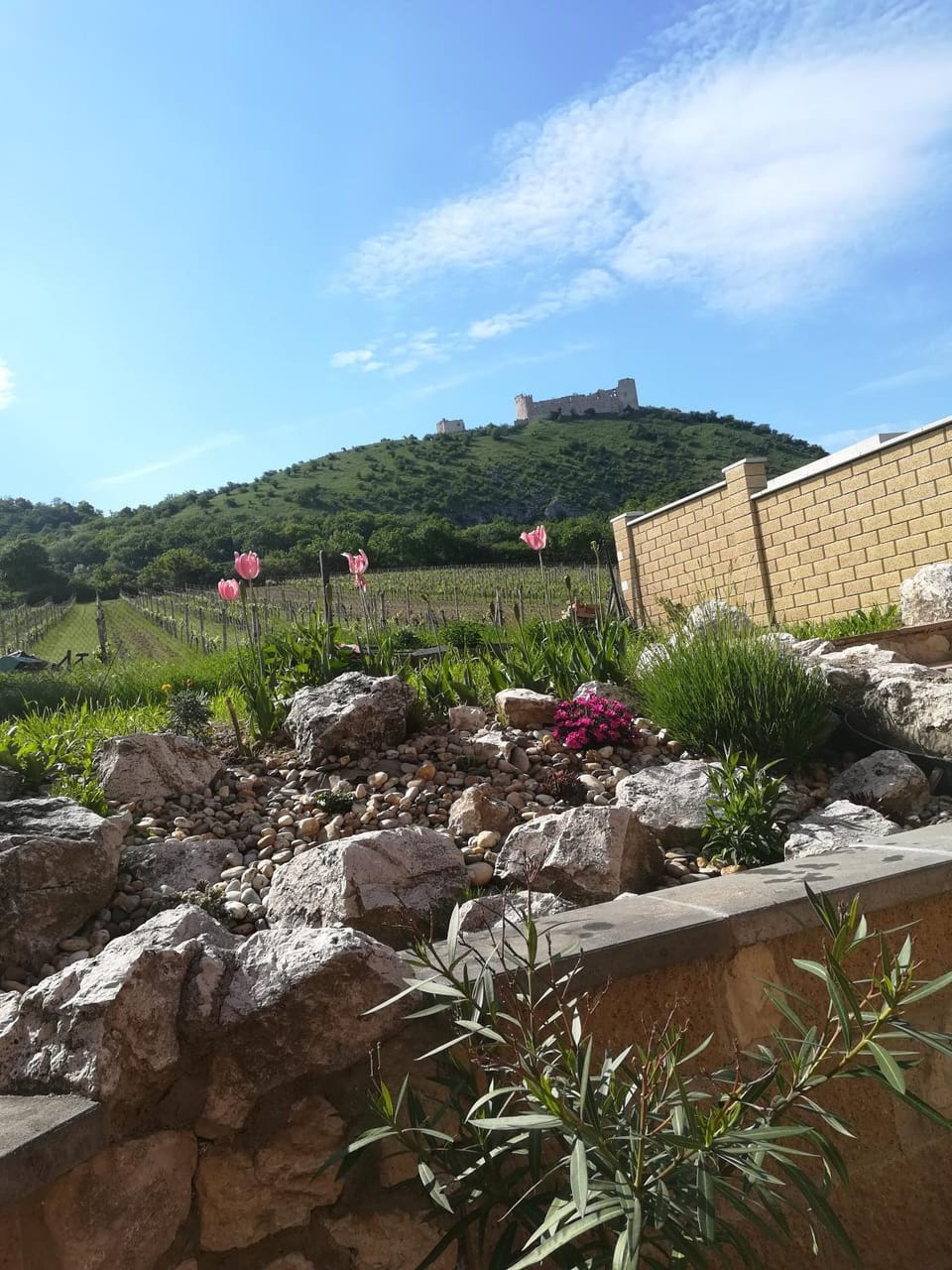 Pavlov Děvicky Bed and Breakfast in South Moravian Region