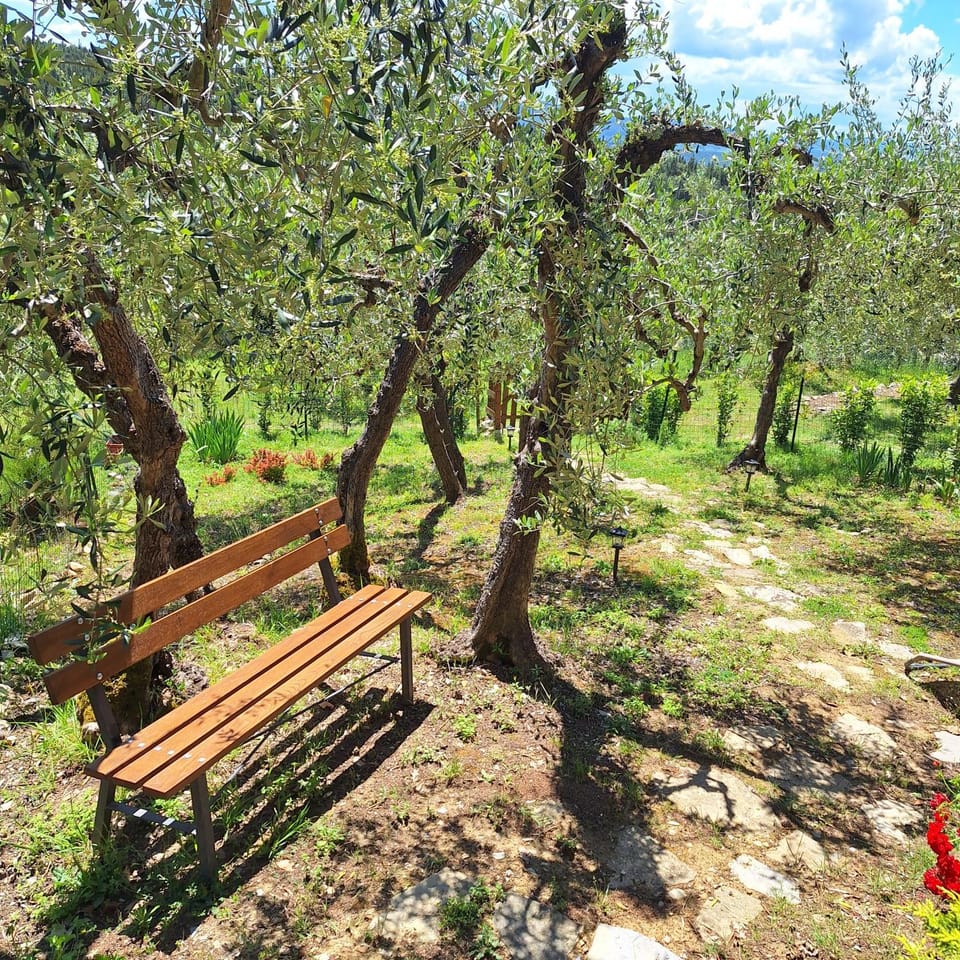 casa vacanze nel Chianti il Granaio House in Castellina in Chianti