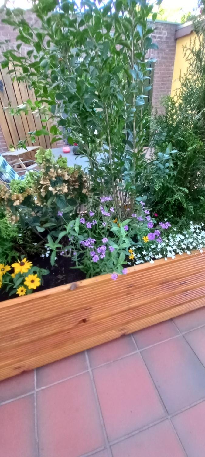 Spring, Garden view