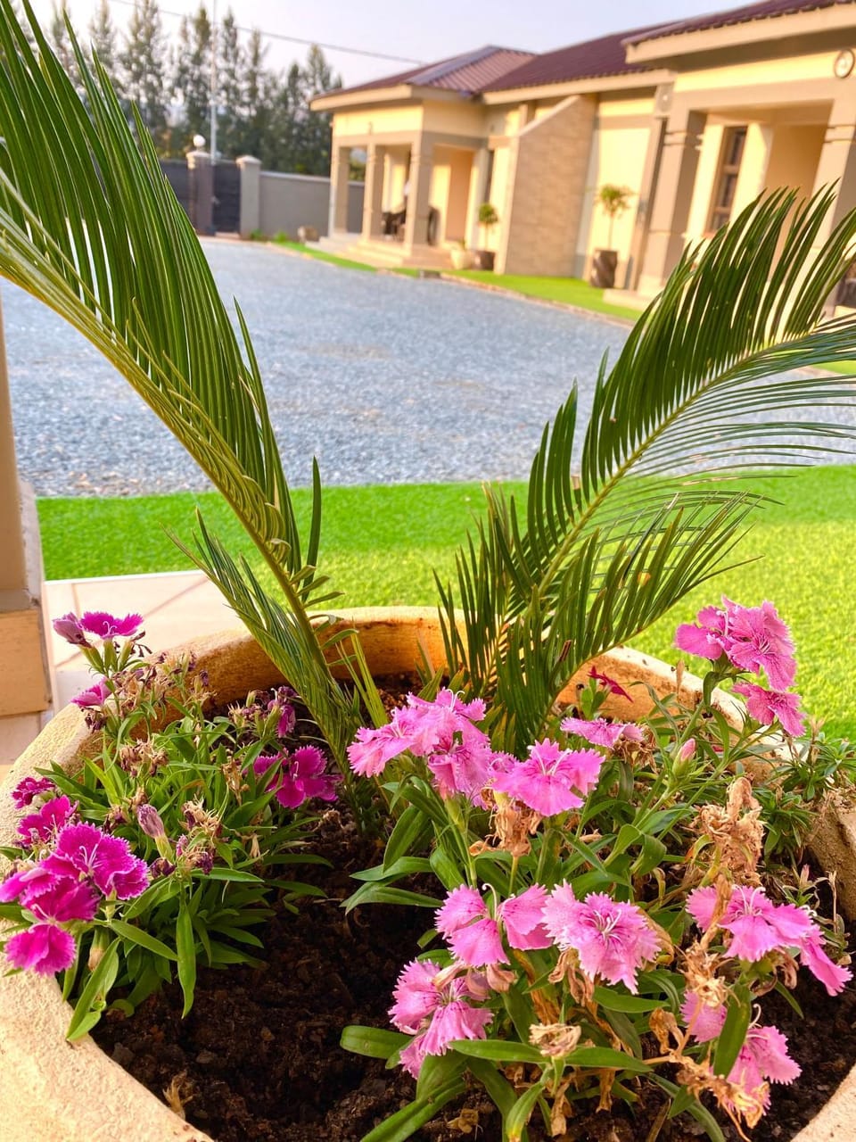 Garden, Balcony/Terrace, Text overlay