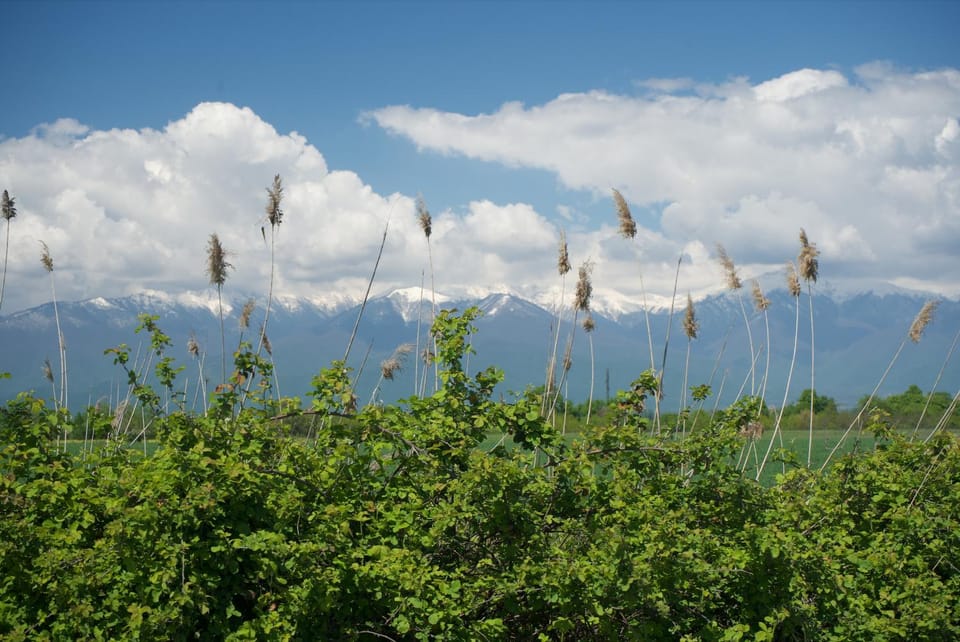Natural landscape, Hiking, Mountain view