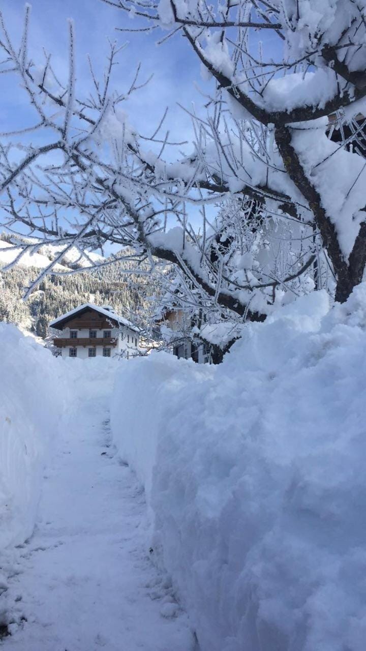 Natural landscape, Winter