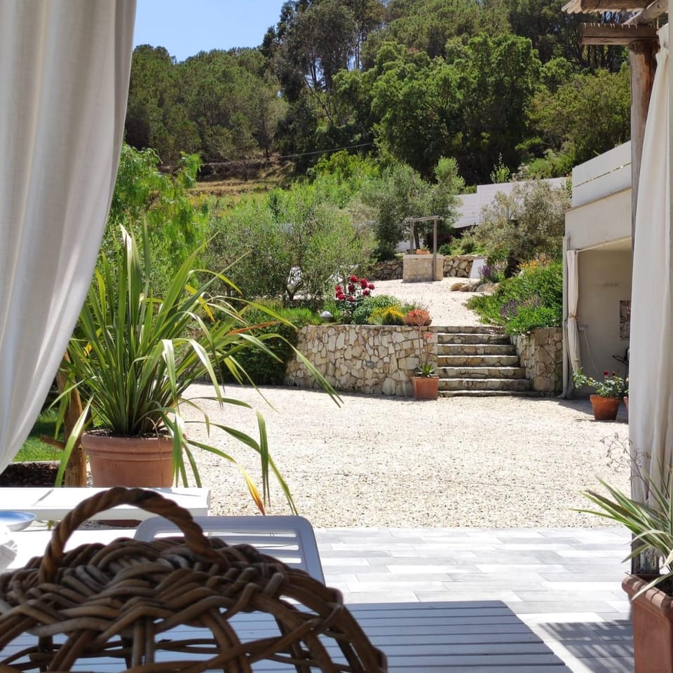 Property building, Garden, Garden, Swimming pool