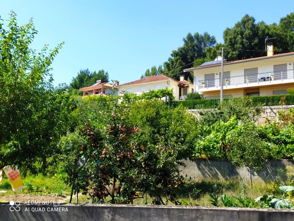 BellaVista Alojamento Bed and Breakfast in Aveiro District, Portugal