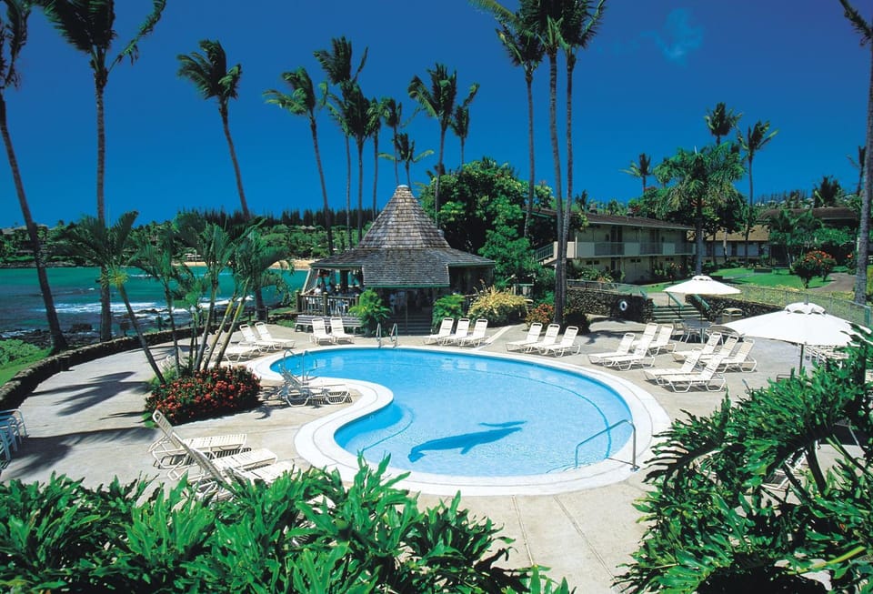 Swimming pool, Swimming pool